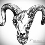 череп козла тату эскиз 17.09.2019 №044 - goat skull tattoo sketch - tatufoto.com