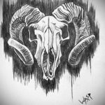 череп козла тату эскиз 17.09.2019 №048 - goat skull tattoo sketch - tatufoto.com