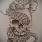 череп со змеей тату эскизы 17.09.2019 №015 - skull with snake tattoo sketch - tatufoto.com