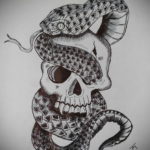 череп со змеей тату эскизы 17.09.2019 №031 - skull with snake tattoo sketch - tatufoto.com