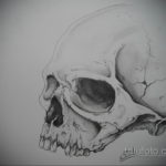 череп эскизы тату реализм 17.09.2019 №006 - skull sketches tattoo realism - tatufoto.com