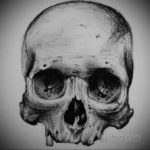 череп эскизы тату реализм 17.09.2019 №013 - skull sketches tattoo realism - tatufoto.com