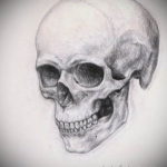 череп эскизы тату реализм 17.09.2019 №025 - skull sketches tattoo realism - tatufoto.com