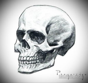 Черно-белый эскиз татуировки человеческого черепа, выполненный в реалистичном стиле с использованием штриховки и теней. Подходит для любителей классических татуировок.