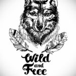 эскиз для волк с перьями тату 26.09.2019 №008 -sketch feather tattoo- tatufoto.com