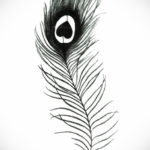 эскиз для перо на ключице тату 26.09.2019 №008 -sketch feather tattoo- tatufoto.com