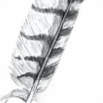эскиз для перо совы тату 26.09.2019 №007 -sketch feather tattoo- tatufoto.com
