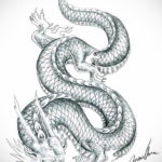 Черно-белый эскиз татуировки дракона, свернутого кольцом, с детально прорисованными чешуйками, крыльями и рогами. Подходит для любителей реалистичных и масштабных тату.
