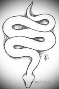 Черно-белый эскиз татуировки змеи, с акцентом на детализацию чешуи. Рисунок выполнен в реалистичном стиле, с использованием штриховки и теней.