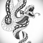 эскиз для тату змея простая 15.09.2019 №021 - sketch for snake tattoo simpl - tatufoto.com