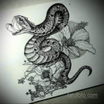 эскиз для тату змея простая 15.09.2019 №071 - sketch for snake tattoo simpl - tatufoto.com