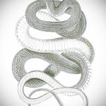 эскиз для тату змея простая 15.09.2019 №087 - sketch for snake tattoo simpl - tatufoto.com