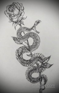 эскиз для тату змея с ножом 23.09.2019 №008 - sketch for tattoo snake with a - tatufoto.com