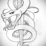 эскиз для тату змея с ножом 23.09.2019 №011 - sketch for tattoo snake with a - tatufoto.com