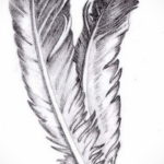 эскиз для тату перо индейца 26.09.2019 №017 -sketch feather tattoo- tatufoto.com