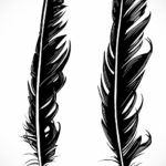 эскиз для тату перо на животе 26.09.2019 №003 -sketch feather tattoo- tatufoto.com