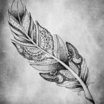 эскиз для тату перо на животе 26.09.2019 №004 -sketch feather tattoo- tatufoto.com