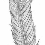 эскиз для тату перо на щиколотке 26.09.2019 №012 -sketch feather tattoo- tatufoto.com