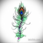 эскиз для тату перо павлина 26.09.2019 №013 -sketch feather tattoo- tatufoto.com