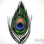 эскиз для тату перо павлина 26.09.2019 №014 -sketch feather tattoo- tatufoto.com