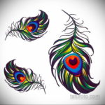 эскиз для тату перо павлина 26.09.2019 №015 -sketch feather tattoo- tatufoto.com