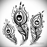 эскиз для тату перо павлина 26.09.2019 №022 -sketch feather tattoo- tatufoto.com