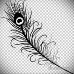 эскиз для тату перо павлина 26.09.2019 №024 -sketch feather tattoo- tatufoto.com