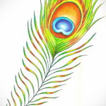 эскиз для тату перо павлина 26.09.2019 №027 -sketch feather tattoo- tatufoto.com