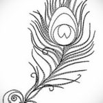 эскиз для тату перо павлина 26.09.2019 №028 -sketch feather tattoo- tatufoto.com