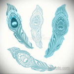 эскиз для тату перо павлина 26.09.2019 №030 -sketch feather tattoo- tatufoto.com