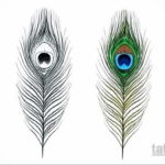 эскиз для тату перо павлина 26.09.2019 №032 -sketch feather tattoo- tatufoto.com