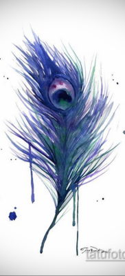 эскиз для тату перо павлина 26.09.2019 №036 -sketch feather tattoo- tatufoto.com