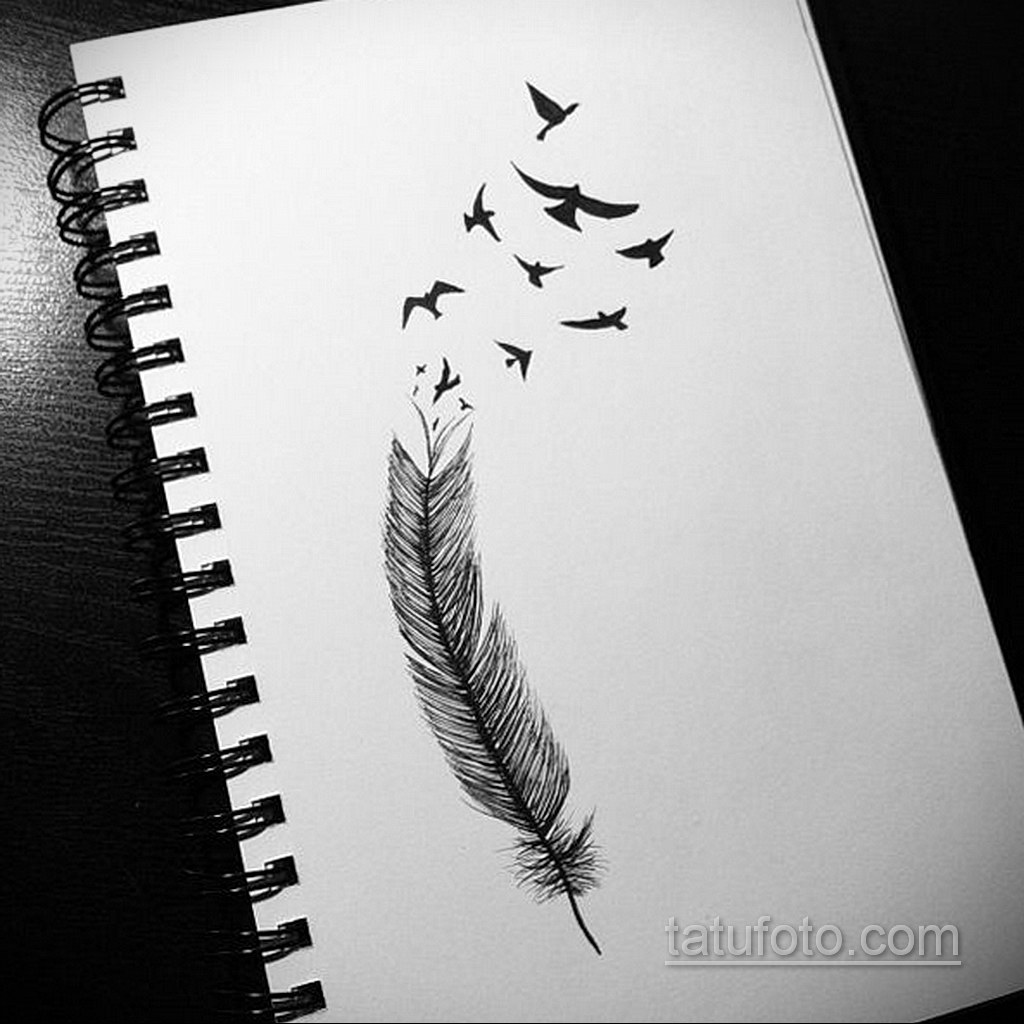 эскиз для тату перо с птицами 26.09.2019 №005 -sketch feather tattoo- tatufoto.com
