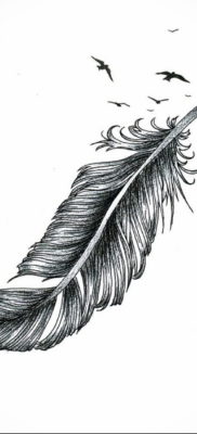 эскиз для тату перо с птицами 26.09.2019 №006 -sketch feather tattoo- tatufoto.com