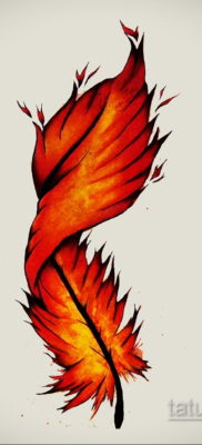 эскиз для тату перо феникса 26.09.2019 №005 -sketch feather tattoo- tatufoto.com