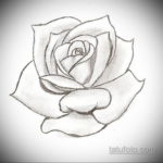 эскиз для тату роза простая 15.09.2019 №001 - sketch for rose tattoo simple - tatufoto.com