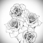 эскиз для тату роза простая 15.09.2019 №043 - sketch for rose tattoo simple - tatufoto.com