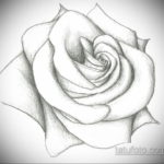 эскиз для тату роза простая 15.09.2019 №061 - sketch for rose tattoo simple - tatufoto.com