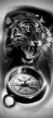 эскиз для тату тигр и часы 19.09.2019 №001 — sketch for tiger tattoo and watc — tatufoto.com