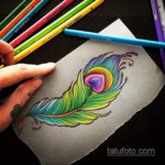эскиз для тату цветное перо 26.09.2019 №005 -sketch feather tattoo- tatufoto.com