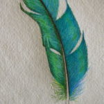 эскиз для тату цветное перо 26.09.2019 №012 -sketch feather tattoo- tatufoto.com