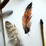 эскиз для тату цветное перо 26.09.2019 №016 -sketch feather tattoo- tatufoto.com