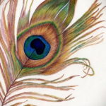 эскиз для тату цветное перо 26.09.2019 №020 -sketch feather tattoo- tatufoto.com