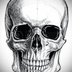 эскиз для тату череп простой 15.09.2019 №052 - sketch for tattoo skull simple - tatufoto.com