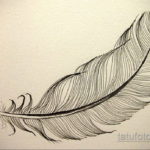 эскиз для тату черное перо 26.09.2019 №007 -sketch feather tattoo- tatufoto.com