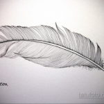 эскиз для тату черное перо 26.09.2019 №009 -sketch feather tattoo- tatufoto.com