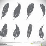 эскиз для тату черное перо 26.09.2019 №018 -sketch feather tattoo- tatufoto.com