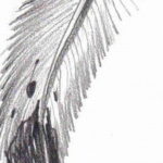 эскиз для тату черное перо 26.09.2019 №024 -sketch feather tattoo- tatufoto.com