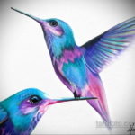 эскиз тату колибри цветная 16.09.2019 №001 - color sketch hummingbird tatto - tatufoto.com