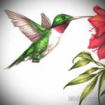 эскиз тату колибри цветная 16.09.2019 №002 - color sketch hummingbird tatto - tatufoto.com